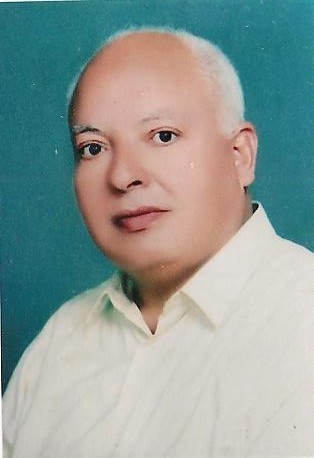 Mr. Mohamed Shawky Ali